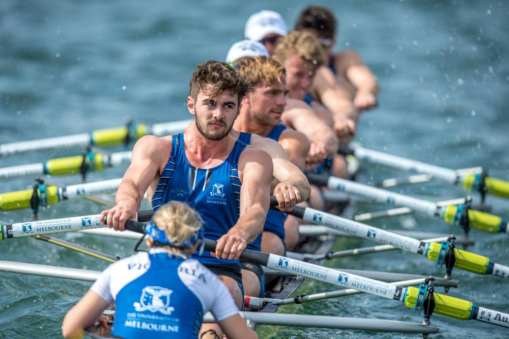 Sydney dominates the 2018 Australian Boat Race - 776BC 